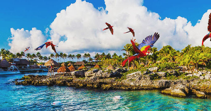 xcaret-park-razvlecheniya-po-meksikanski xcaret-park-razvlecheniya-po-meksikanski