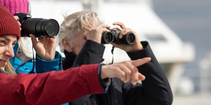 hurtigruten-expeditions hurtigruten-expeditions