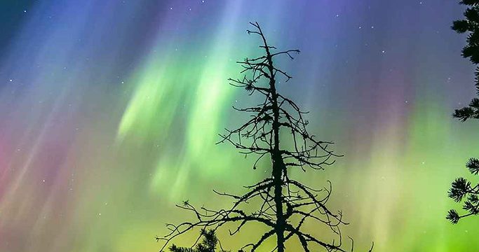 zustrinte-rizdvo-ta-novij-rik-u-laplandiyy-2025-2026